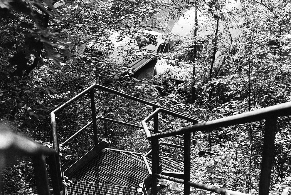 A high contrast shot of a stair case leading through the shrubbery to a parking space. Shot Fomapan 400 action.
