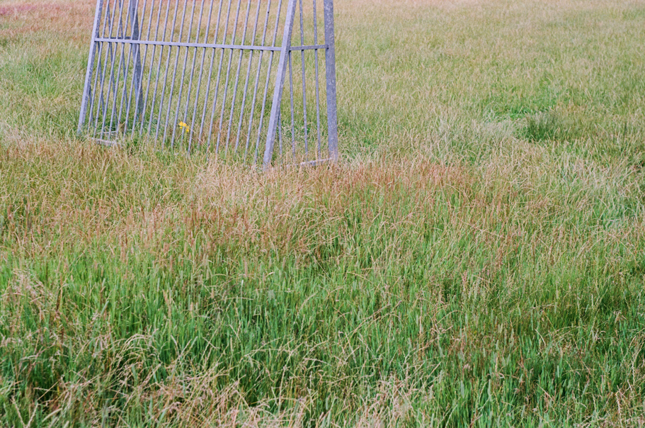 A metal scoccer goal on a field of high grass. Shot on Fujifilm Fujicolor C200.