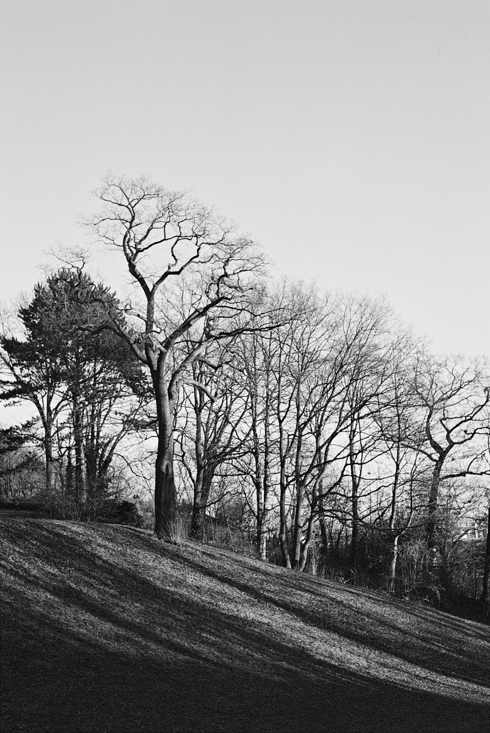 . Shot on Ilford XP2 400.